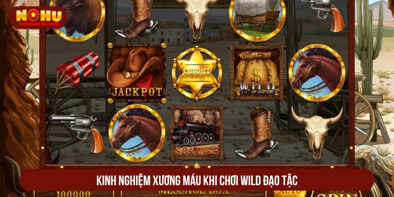 Wild Đạo Tặc Nohu90 Bắn Vỡ Khung Vàng, Hốt Trọn Hũ Lớn Kinh nghiệm xương máu khi chơi wild đạo tặc