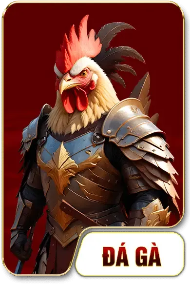 đá gà nohu90